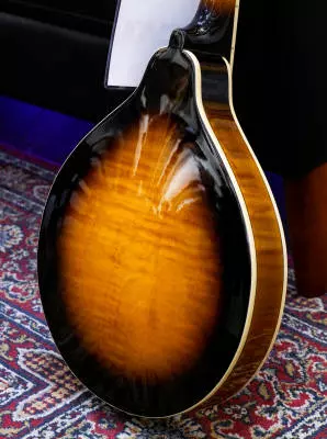 Gold Tone - GM-50+ A-Style Mandolin with Pickup 2